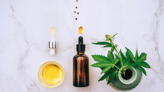 The Benefits of Hemp Oil in Your Lip Care