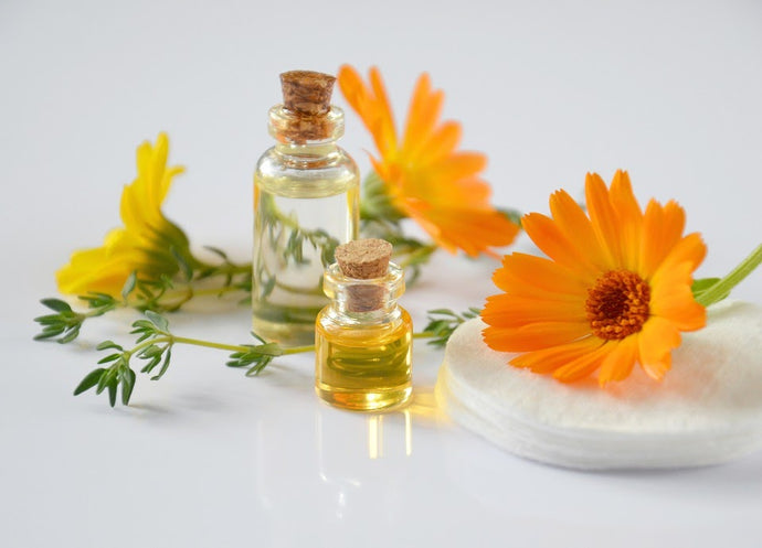Our Favorite Natural Oils for Skin Care